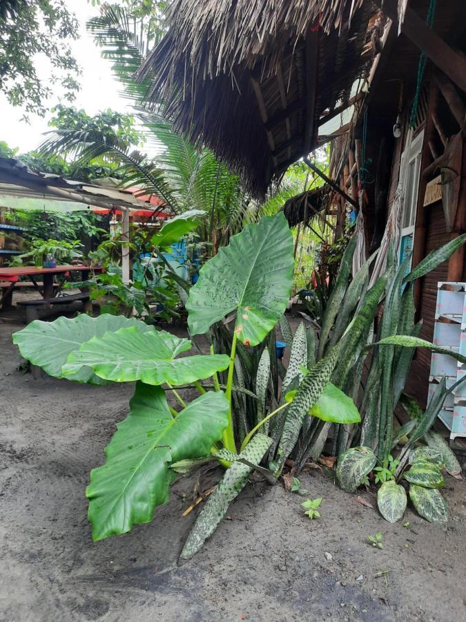 Raices Mompiche Hotel Bagian luar foto