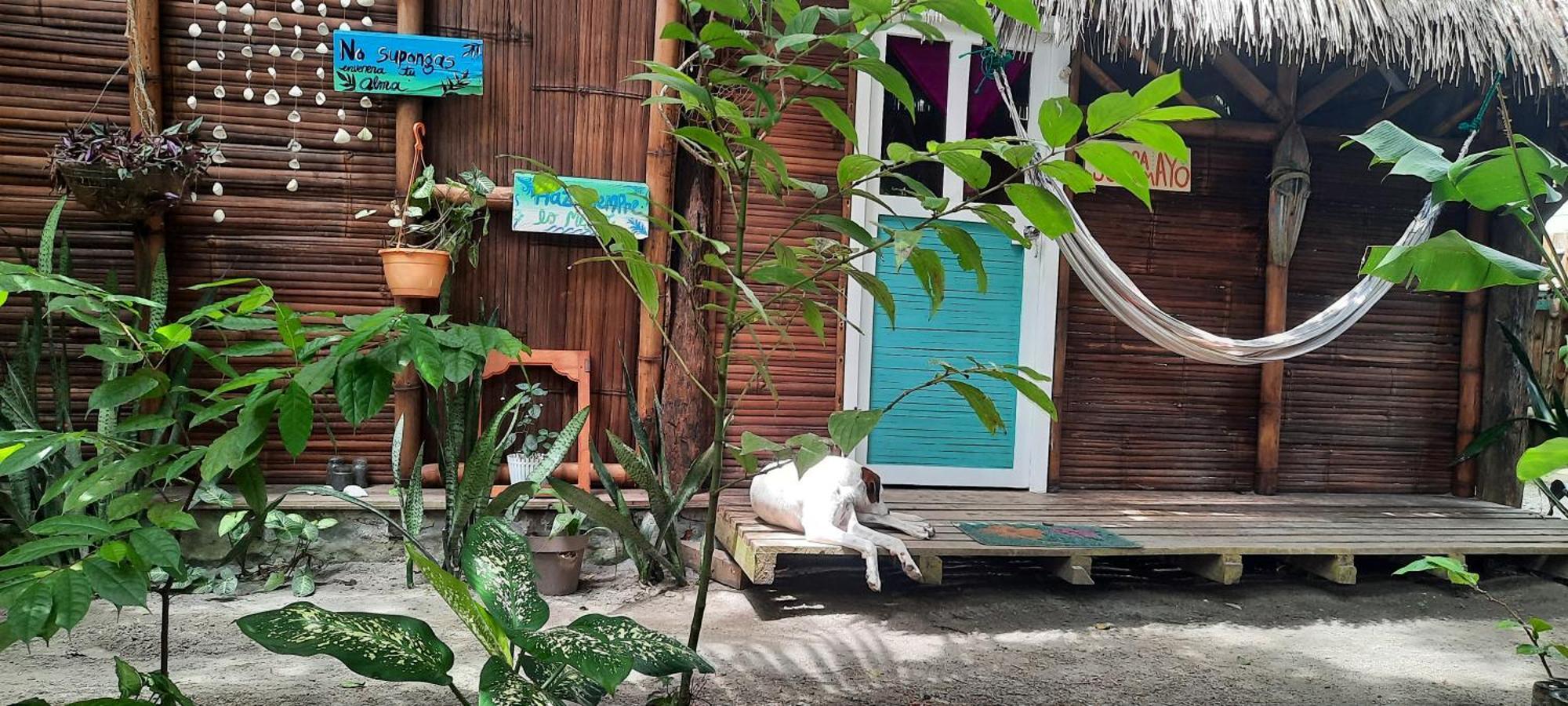 Raices Mompiche Hotel Ruang foto