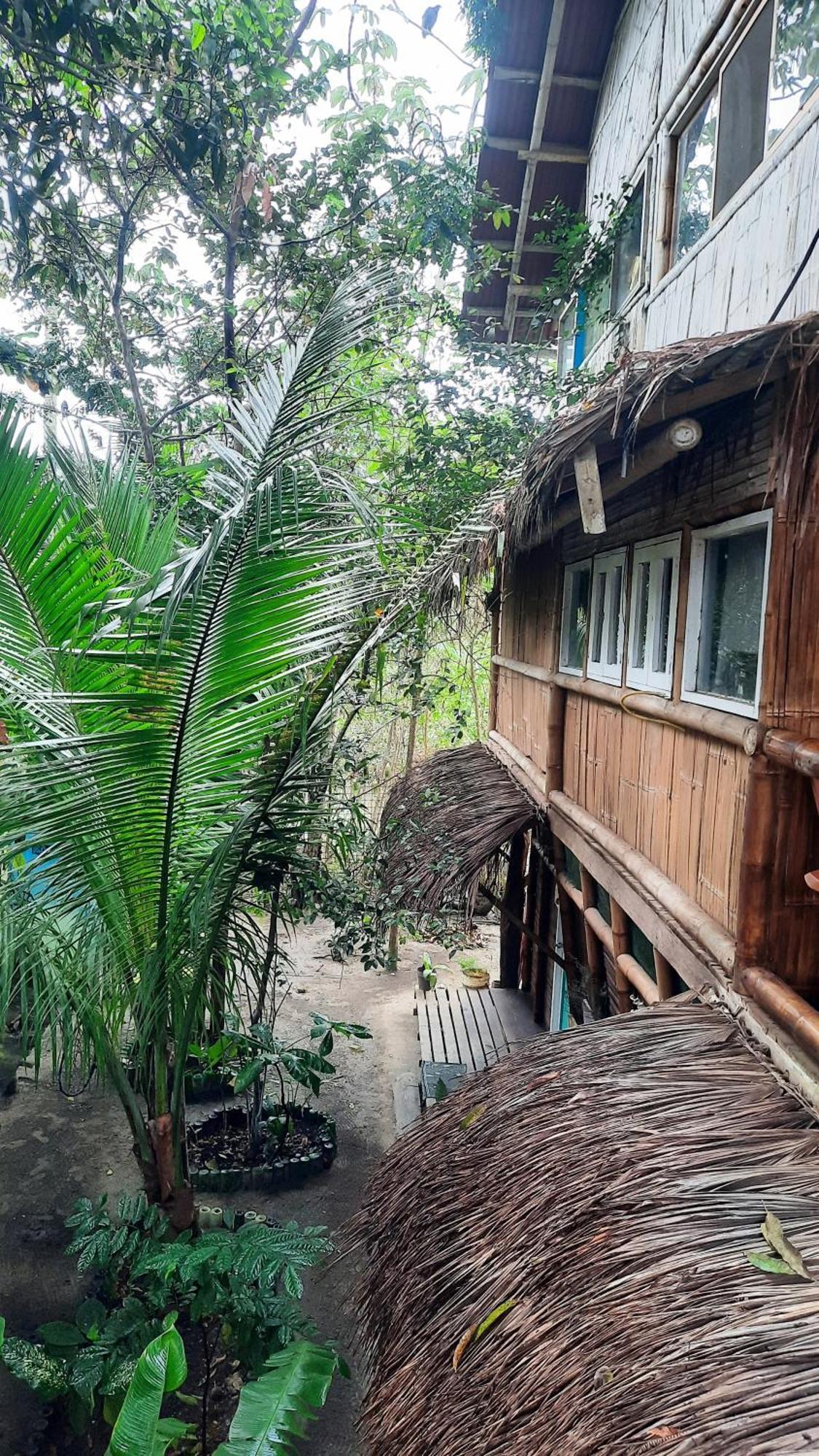 Raices Mompiche Hotel Bagian luar foto